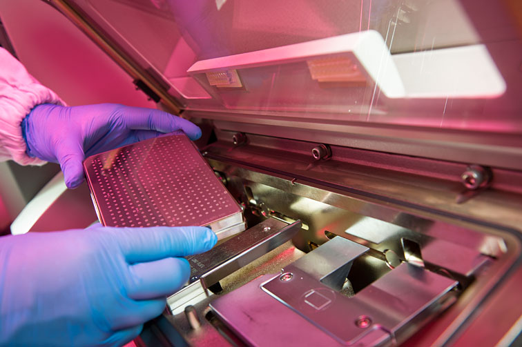 В Гонконге обнаружен первый в мире металл, твердеющий при нагревании